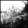 77flv